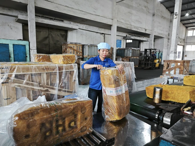 Kế hoạch lớn của ngành cao su